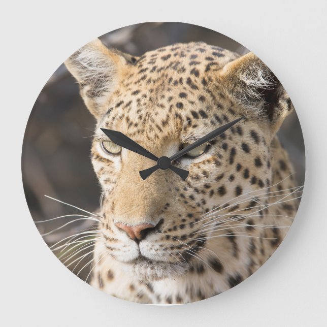Leopard portrait large clock (Front)