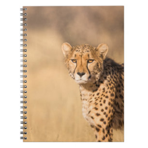LEOPARD PORTRAIT NOTEBOOK