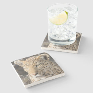 Leopard portrait photo stone coaster