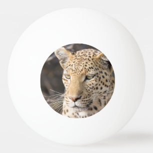 Leopard portrait ping pong ball