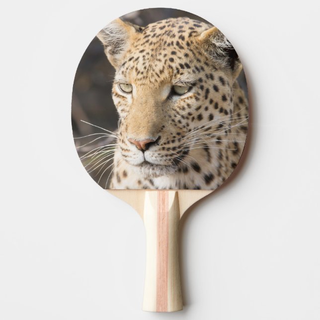 Leopard portrait ping pong paddle (Front)