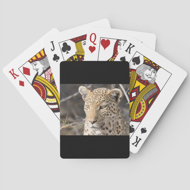 Leopard portrait playing cards (Back)