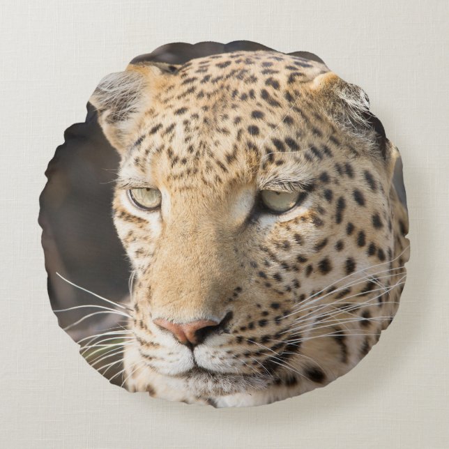 Leopard portrait round cushion (Front)