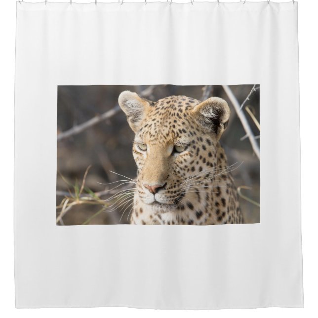 Leopard portrait shower curtain (Front)