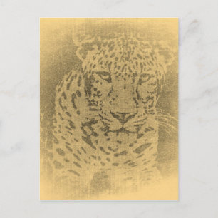 Leopard Portrait Vintage Postcards