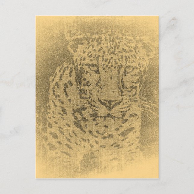 Leopard Portrait Vintage Postcards (Front)