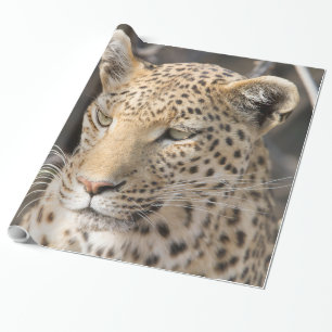 Leopard portrait wrapping paper