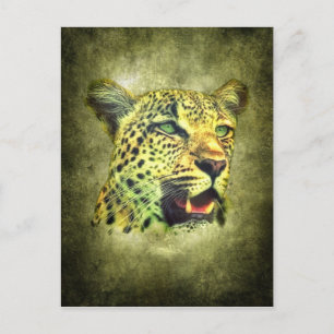 Leopard Postcard