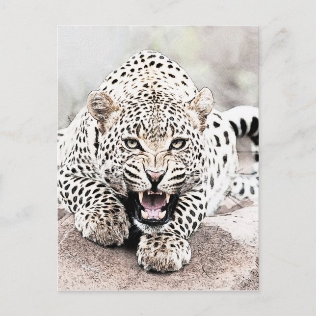 Leopard Postcard (Front)
