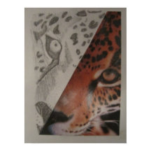 Leopard Poster