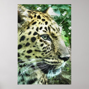 LEOPARD POSTER