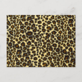 Leopard Print Postcard