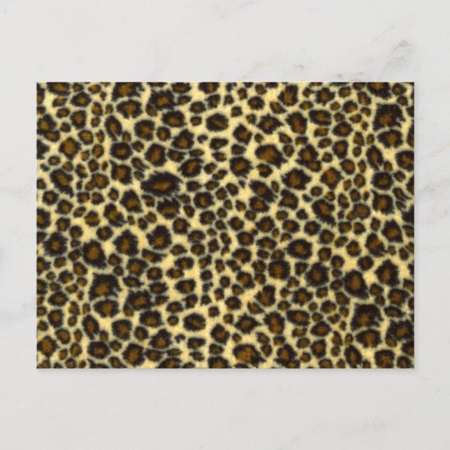 Leopard Print Postcard (Front)