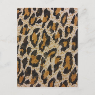 Leopard Print Postcard