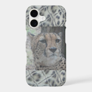 Leopard Print with Cute Leopard Face Phone Case