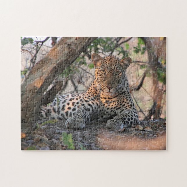 Leopard Puzzle (Horizontal)
