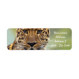 Leopard Return Address Label