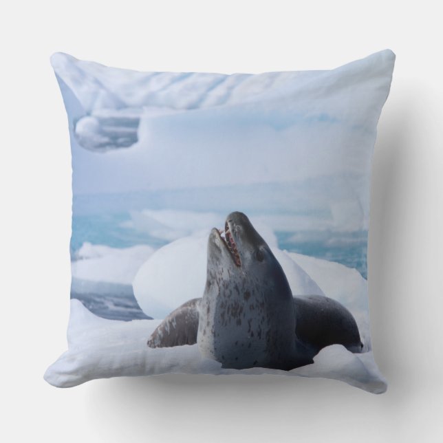 Leopard Seal Cushion (Front)