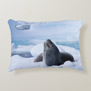 Leopard Seal Decorative Cushion