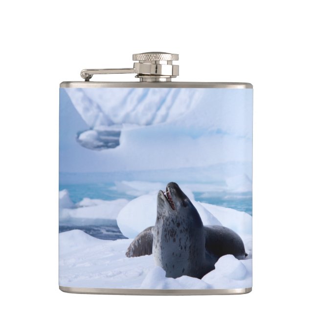 Leopard Seal Hip Flask (Front)