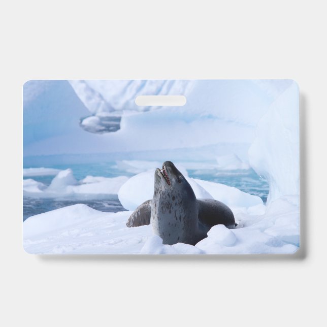 Leopard Seal ID Badge (Front)