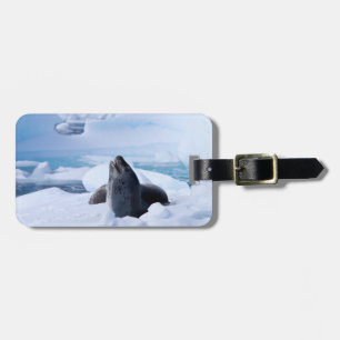 Leopard Seal Luggage Tag