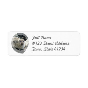 Leopard Seal Return Address Mailing Label