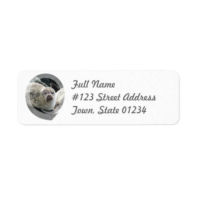 Leopard Seal Return Address Mailing Label (Front)
