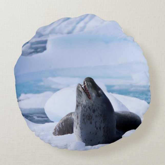Leopard Seal Round Cushion (Back)