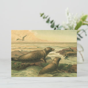 Leopard Seals, Vintage Aquatic Animals Marine Life