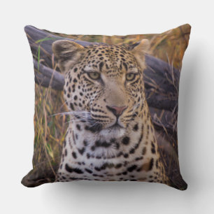 Leopard sitting, Botswana, Africa Cushion