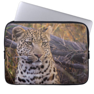 Leopard sitting, Botswana, Africa Laptop Sleeve