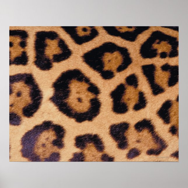 Leopard skin poster (Front)