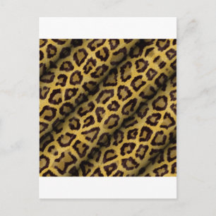 Leopard Spots Postcard