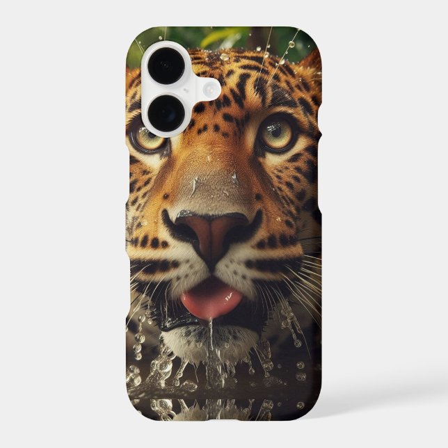 Leopard Stares While Lapping Water in Jungle  (Back)