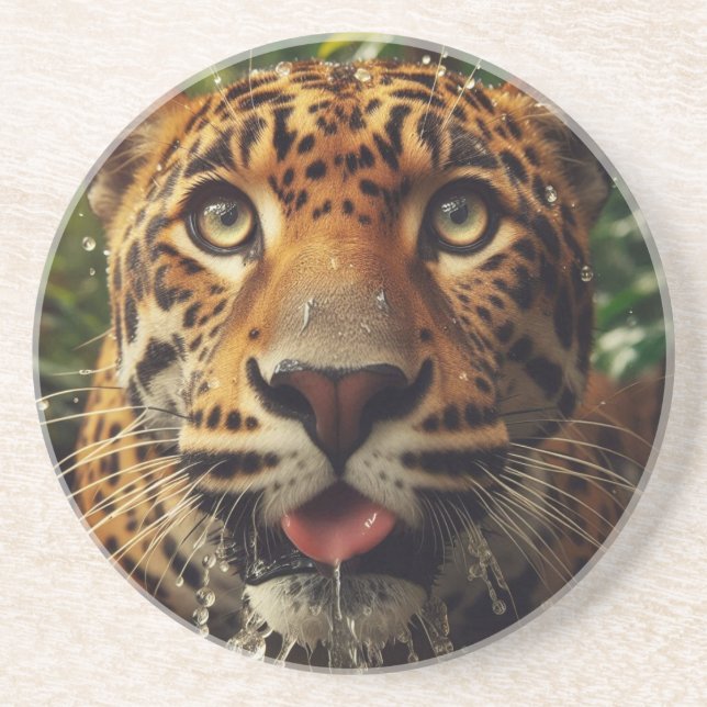 Leopard Stares While Lapping Water in Jungle  Coaster (Front)
