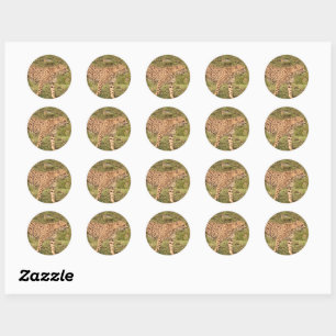 Leopard Stickers