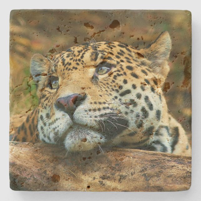 Leopard Stone Coaster (Front)