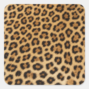 leopard texture fur skin leather animal square sticker