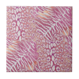 Leopard tiger skin trendy ceramic tile