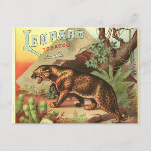 Leopard Tobacco 1900 Postcard