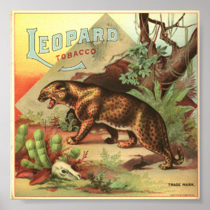 Leopard Tobacco 1900 Poster