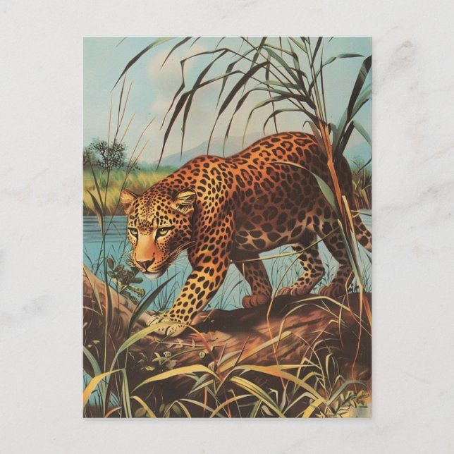 Leopard Vintage  Postcard (Front)