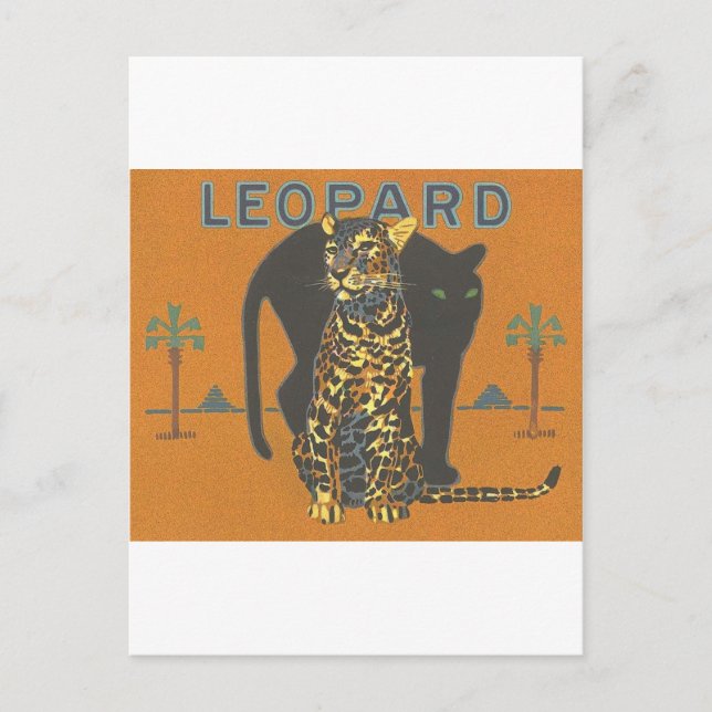Leopard Vintage Postcard (Front)