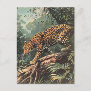 Leopard Vintage  Postcard