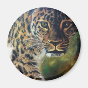 Leopard Walking at Sunset Magnet