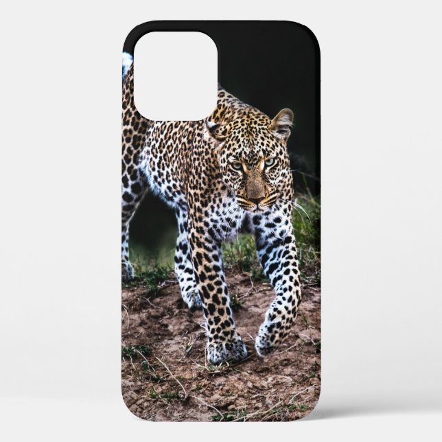 LEOPARD WALKING IN WILD Case-Mate iPhone CASE (Back)