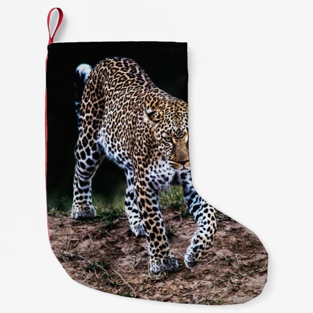 LEOPARD WALKING IN WILD SMALL CHRISTMAS STOCKING (Front)