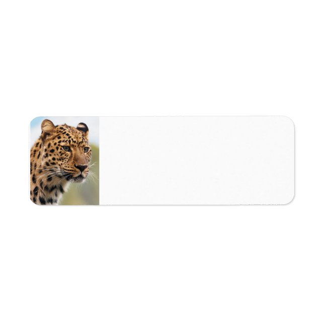 Leopard Wild Cats Return Address Label (Front)