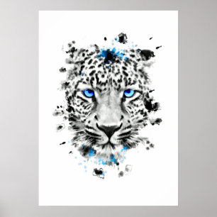 Leopard with blue eyes poster